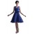 A-Line V-Neck Short Blue Chiffon Bridesmaid Dresses/Wedding Party Dresses BD010036