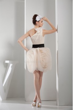 Short/Mini One-Shoulder Sleeveless A-Line Prom/Formal Evening Dresses 02021173