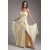 Sleeveless Sheath/Column Sweetheart Chiffon Lace Prom/Formal Evening Dresses 02020900